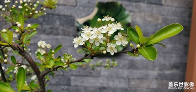 随手拍