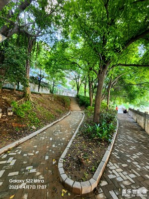 经雨不随山鸟散