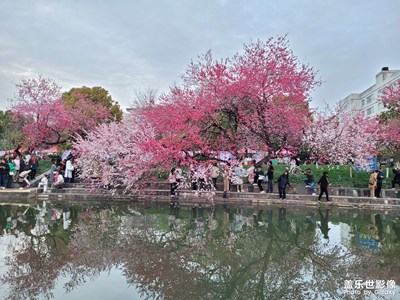 【拍有趣味】河畔花景