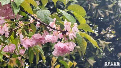 下雨了