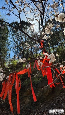 【拍有趣味】野人谷