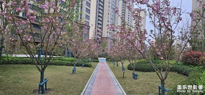 春光明媚