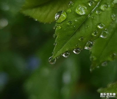 【四月物语】春雨