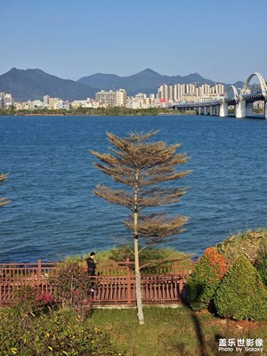 【四月物语】距离不远，距离很远