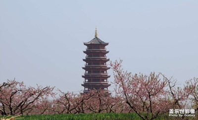 桃花山上看桃花