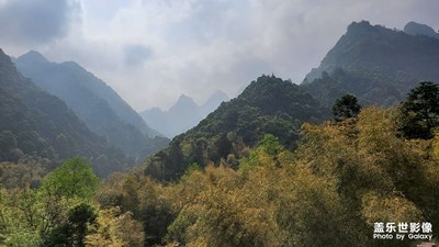 黄山美景一日游，好风景！