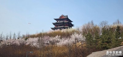 【相约春天】+春满黄台山公园