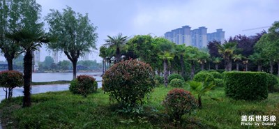 【相约春天】春雨绵绵