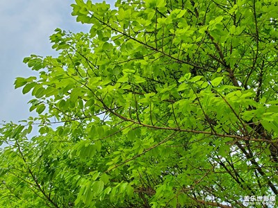 【相约春天】+春日出行