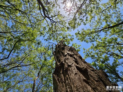 滨州邹平雕窝裕风景区