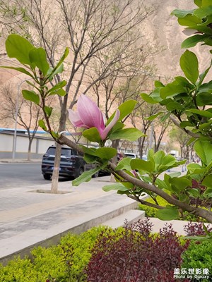随拍