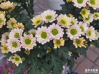 【至生活】+欢乐生活