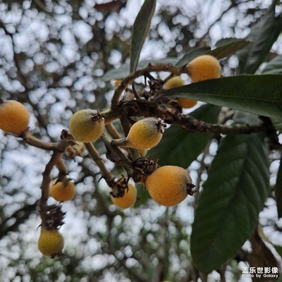 【我的五一】美好生活记录