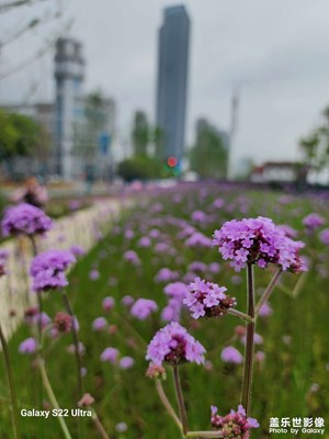 22u拍照很一般啊，没有那么惊艳！