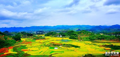 平定营收割的季节