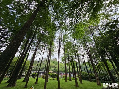 【我的五一】+晓港公园风景篇3