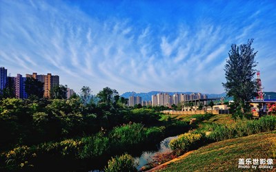 初夏 游园 楼下小公园