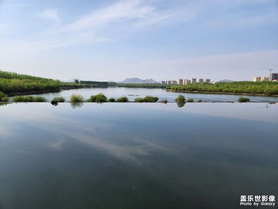 【初夏】+兴安岭南小城