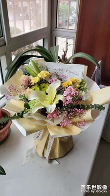 【拍有生活】花朵随拍