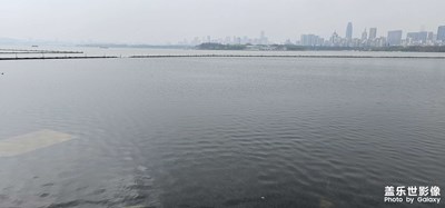 东湖美景