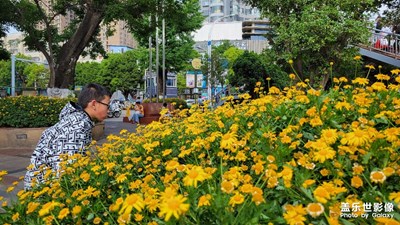 【用镜头讲述】+ 美丽风景