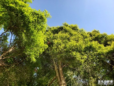 【用镜头讲述】+镜头里的美好
