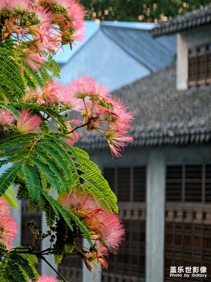 晚饭后的节目