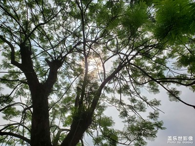 【用镜头讲述】+美丽景色