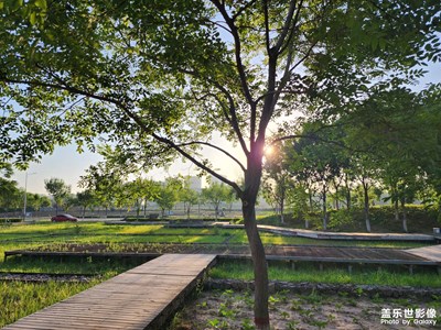 【镜头里的夏天】+公园晨拍