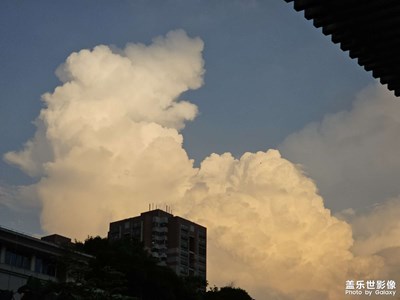 镜头里的夏天