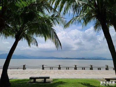 【镜头里的夏天】深圳湾公园