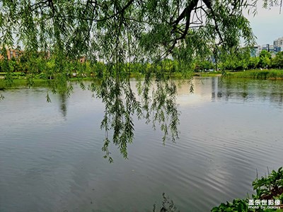 【泛着光的生活】+这里风景独好