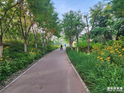 【留住精彩】+晨练风景