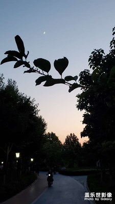【镜头里的夏天】+游园记