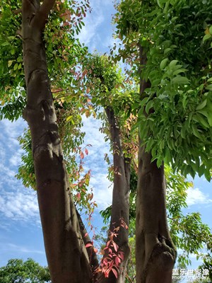 【不期而遇的美好】+风景随拍