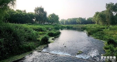 【镜头里的夏天】+夏天早晨的街头公园