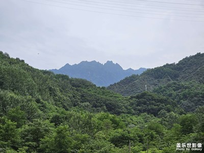 【镜头里的夏天】+一些夏日随拍