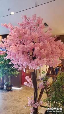 【夏日好时光】+夜游商场