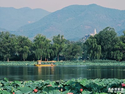 【夏日好时光】远山近水湖中荷