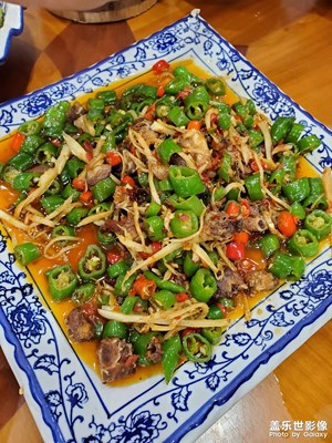 【镜头里的夏天】+一顿午餐