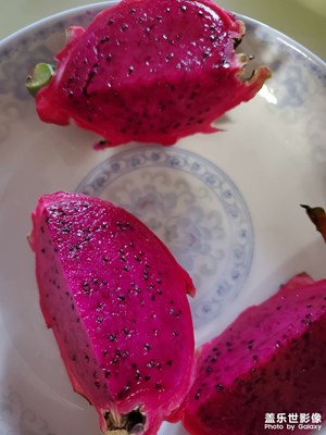 【镜头里的夏天】夏日滋味