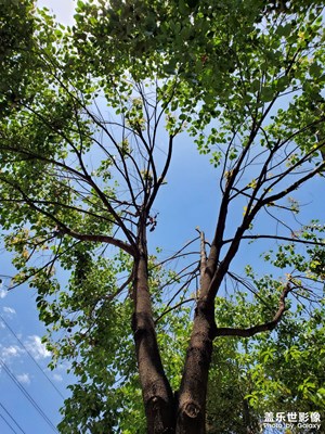 【创意生活】+ 灿烂阳光