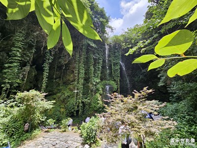 【多彩七月】芦花瀑布