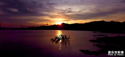 【镜头里的夏天】+金湾区打银咀