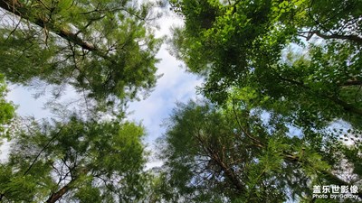 【视觉盛夏】岸上草原