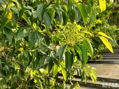 【视觉盛夏】+夏天