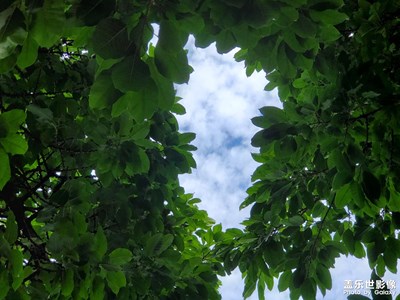 【萃取生活】+ 风景随拍