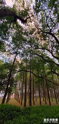 【再见夏天】+ 难忘的东湖风景
