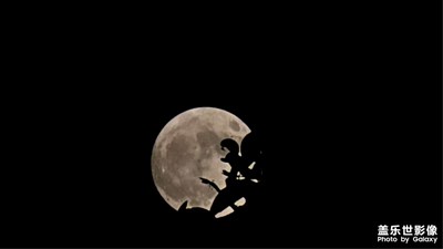 再见夏天