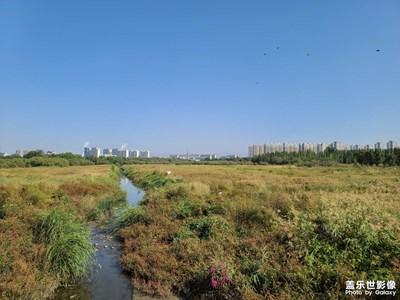 【城市名片】赛汗塔拉草原